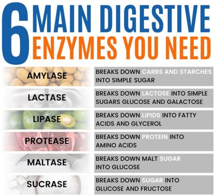 Are digestives healthy?