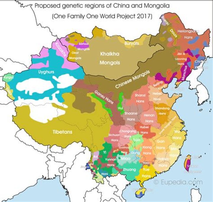 Are Mongols and Chinese related?