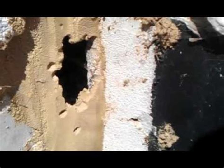Can mice chew through concrete?