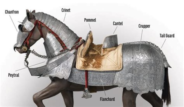 Can skeleton horses wear armor?