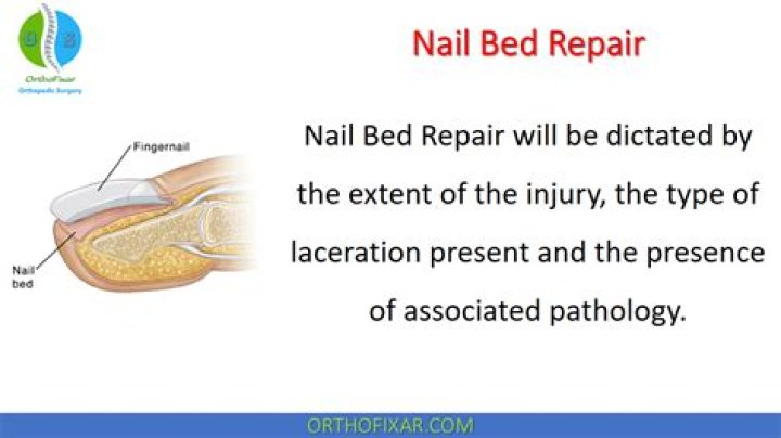 Can you repair a damaged nail bed?