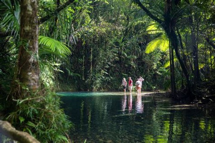 Can you swim in Daintree?