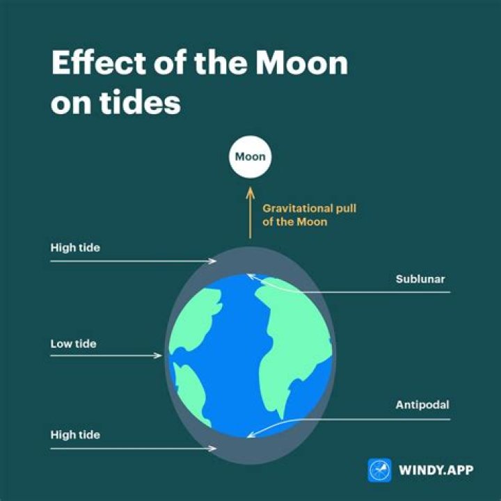 Does high tide affect humans?