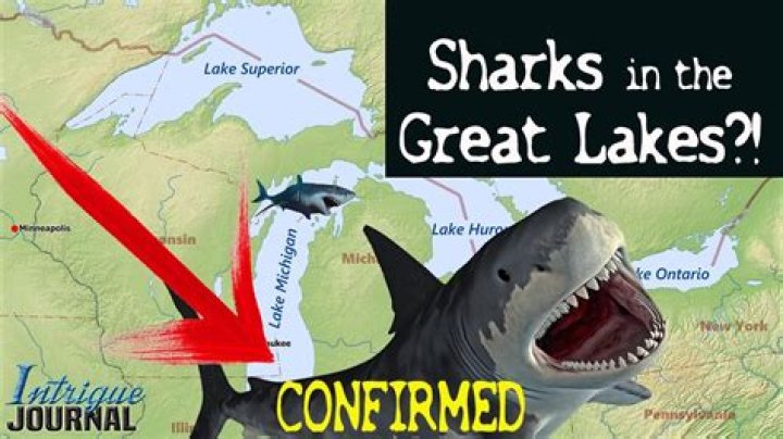 Does Lake Tahoe have sharks?