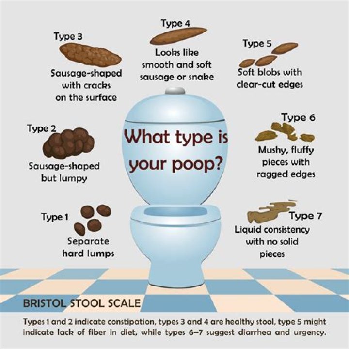 How do you poop in the toilet?
