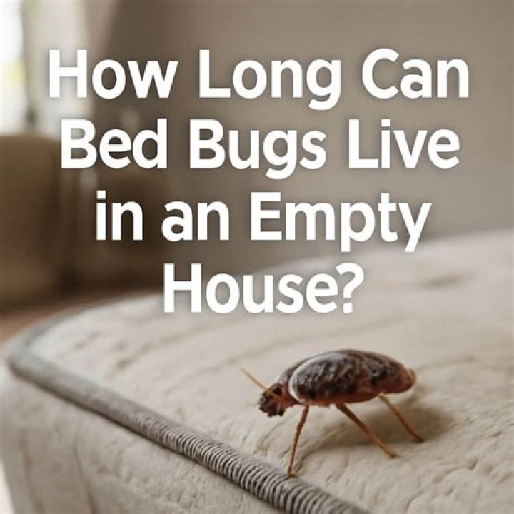 How long can bed bugs live in an empty house?
