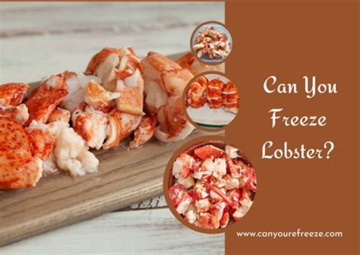 How long can you freeze lobster for?