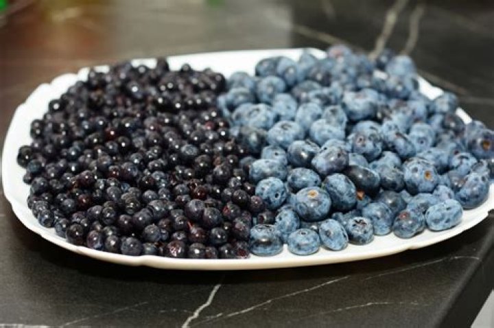 Is a blueberry A blue?