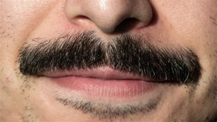 Is Mario's mustache real?