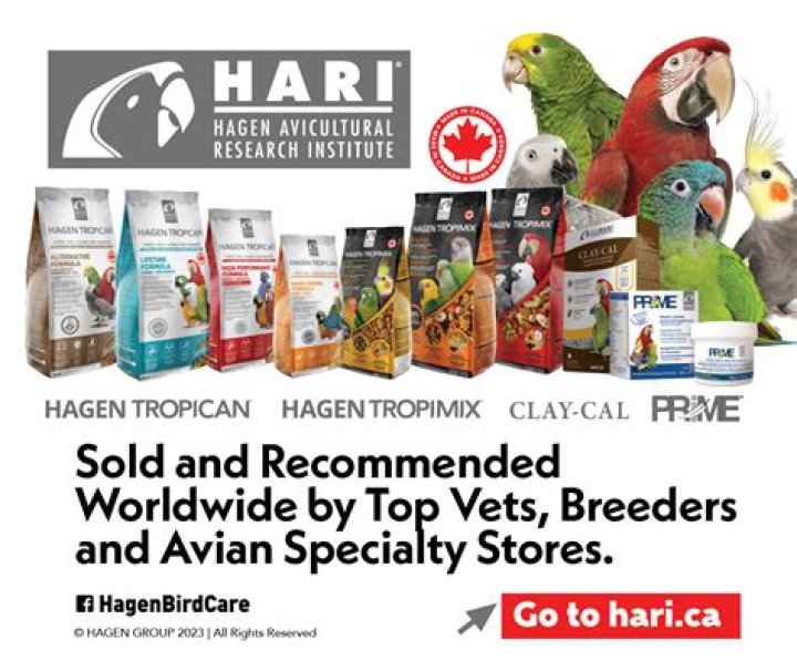 Is owning a bird cruel?