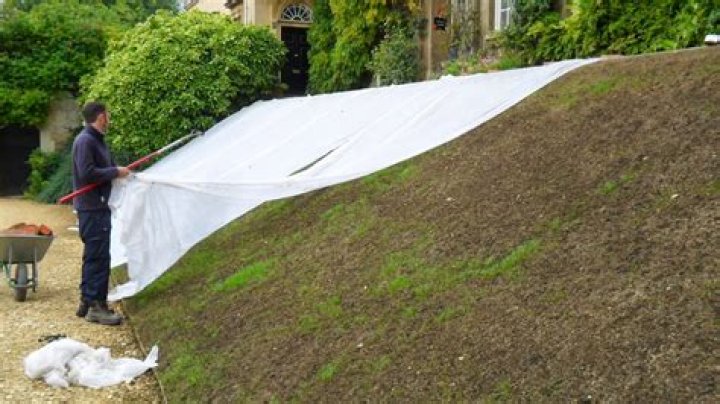 Should you cover grass seed?