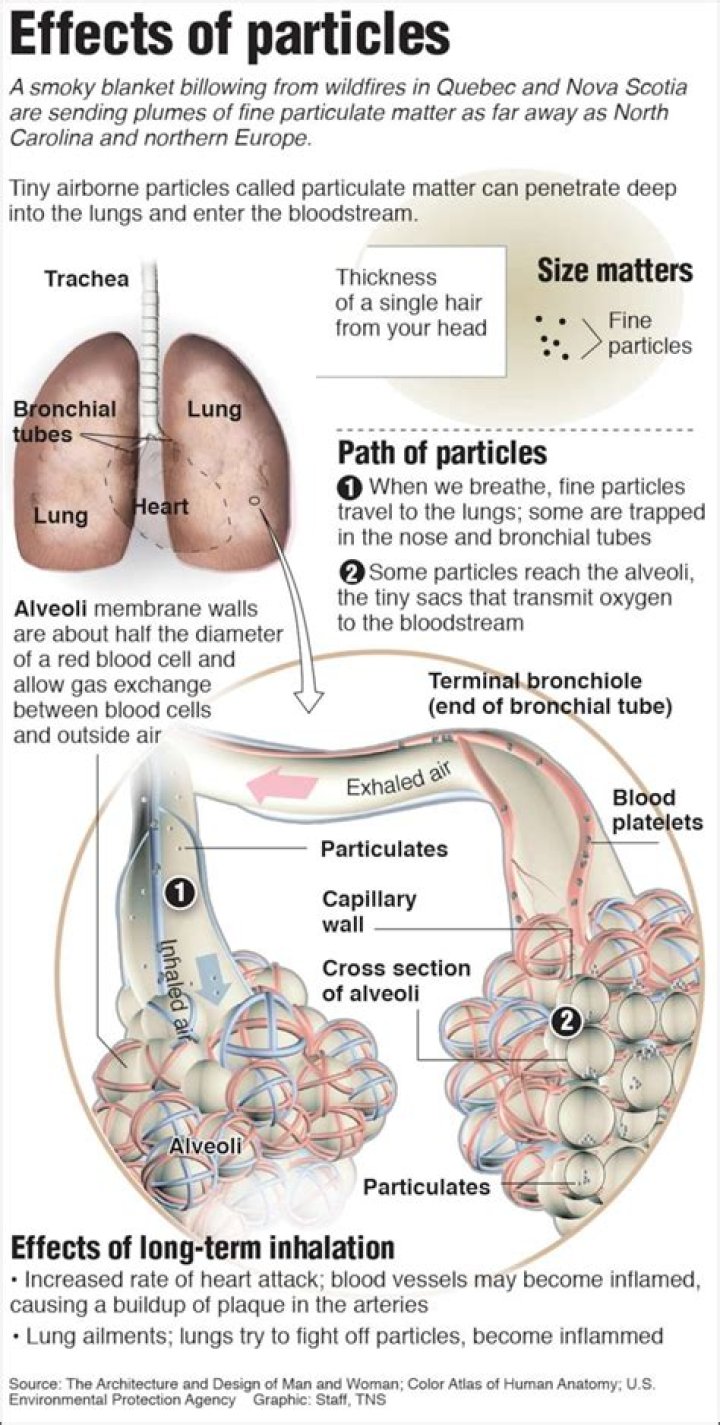 What are solid particulates?