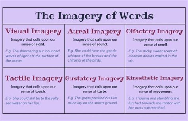 What are the 4 types of imagery?