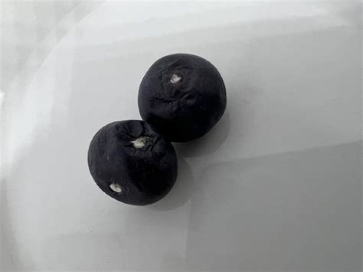 What are the white spots on my blueberries?