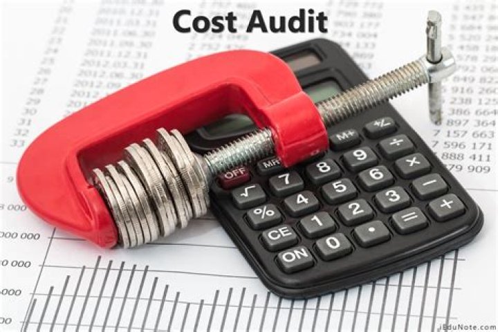 What are types of cost audit?