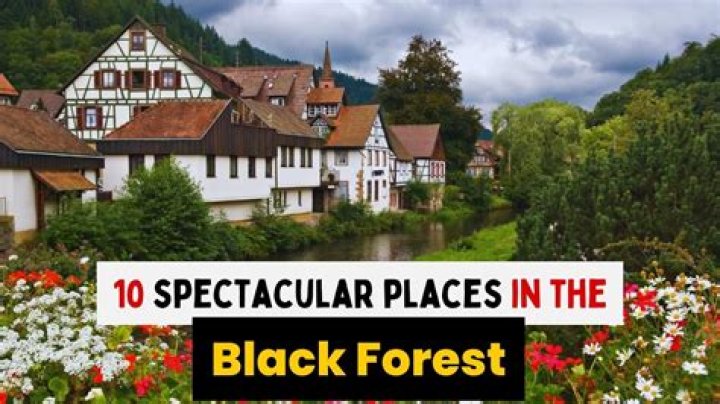 What city is closest to the Black Forest in Germany?