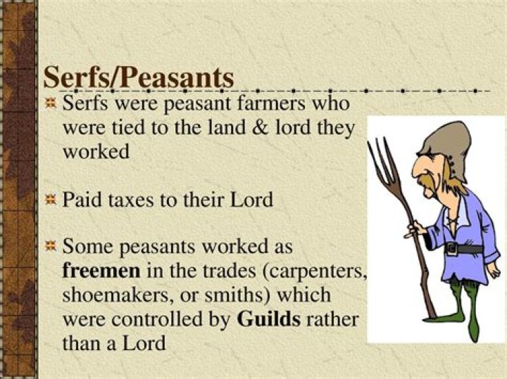 What did peasants pay to Lords?