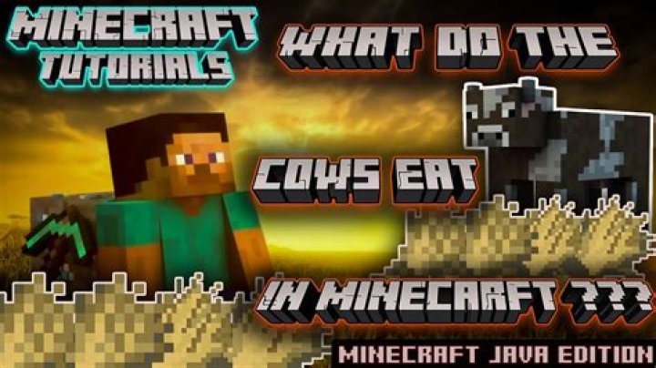 What do cows in the UK eat?