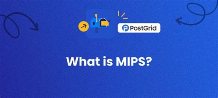 What does MIPS stand for?