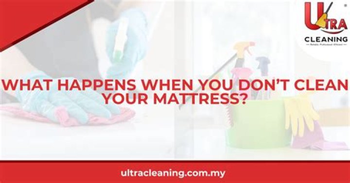 What happens if you don't clean your bed?