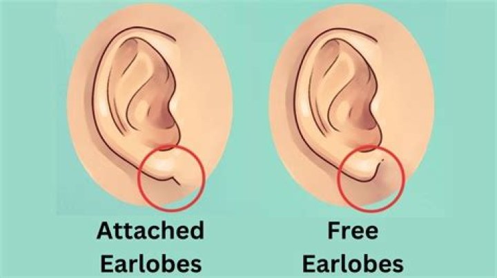 What happens to earlobes when dying?
