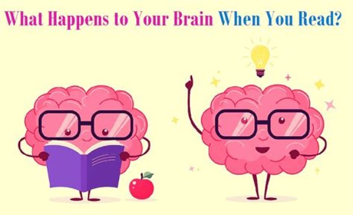 What happens to your brain when you don't read?