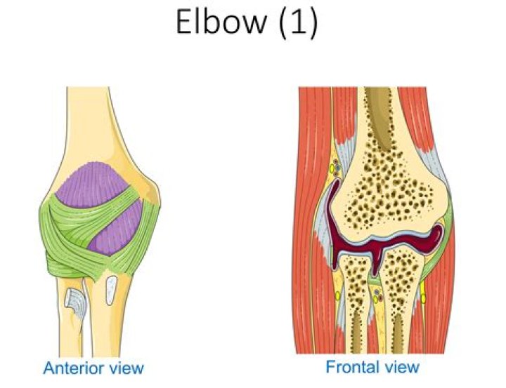 What is an elbow ditch?