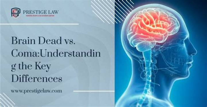 What is brain dead vs coma?