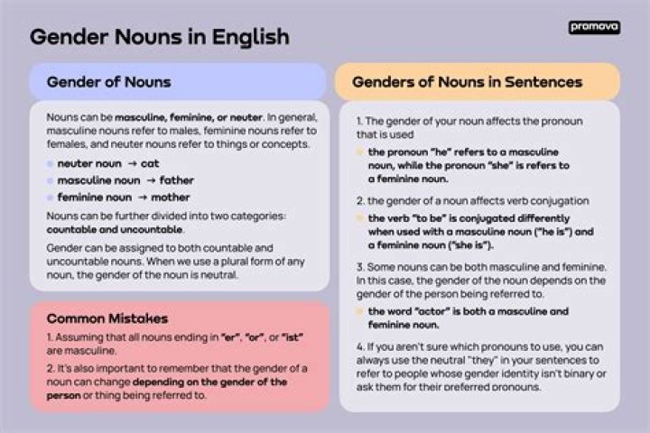 What is gender nouns tree?
