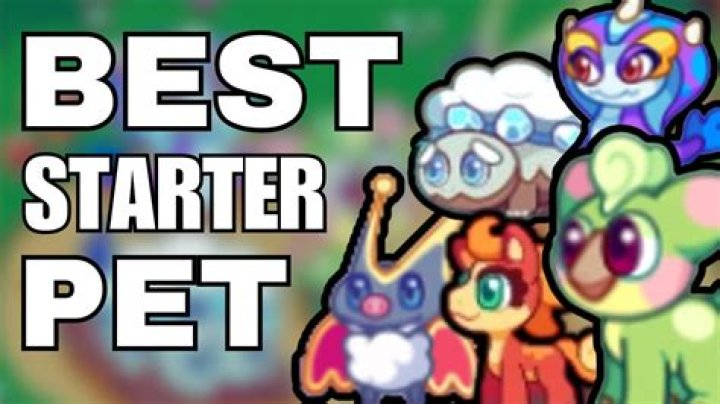 What is the best starter pet?
