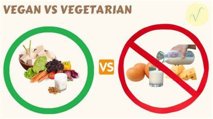 What is the meat suit in Bad Vegan?