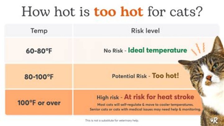 What temperature is too hot for bricks?