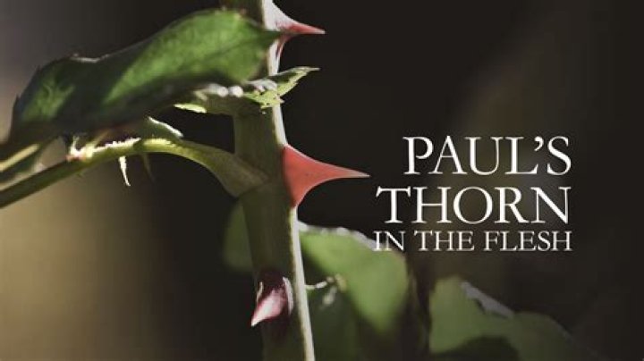 What was Paul's thorn in his side?