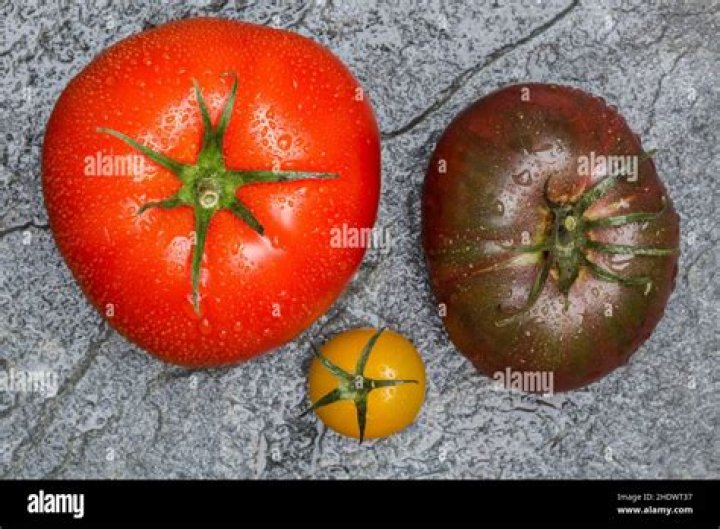 Which tomato is sweetest?