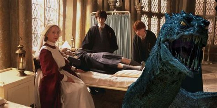 Who got petrified in the Chamber of Secrets?