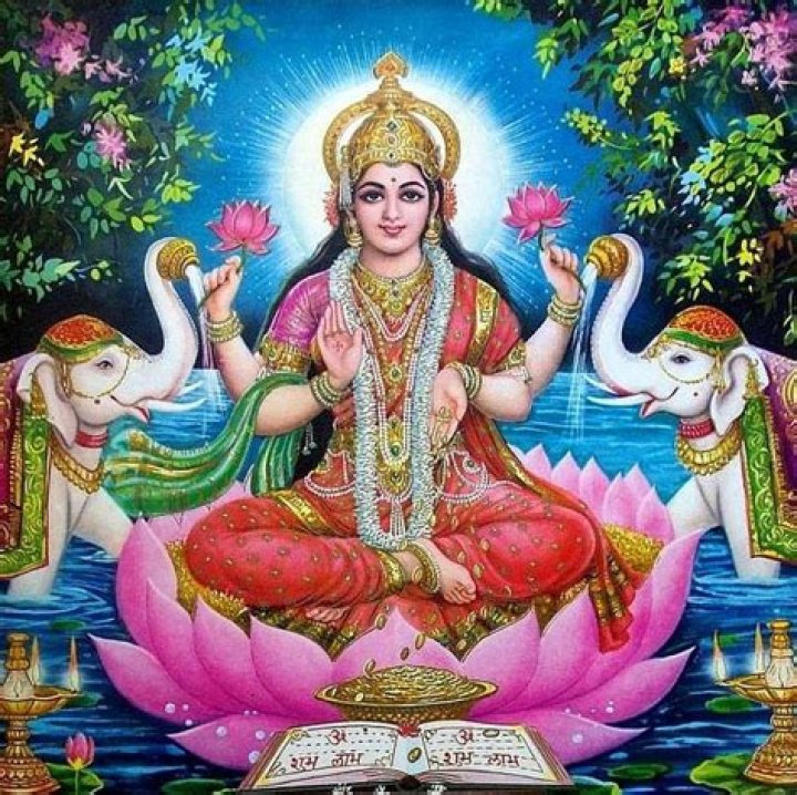 Who is Lakshmi Ji sister?
