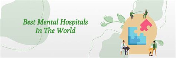 Why are there no mental hospitals in the US?