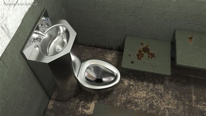 Why do American toilets have no doors?