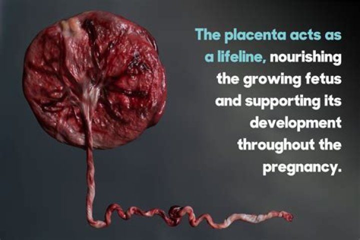 Why do doctors take away the placenta?