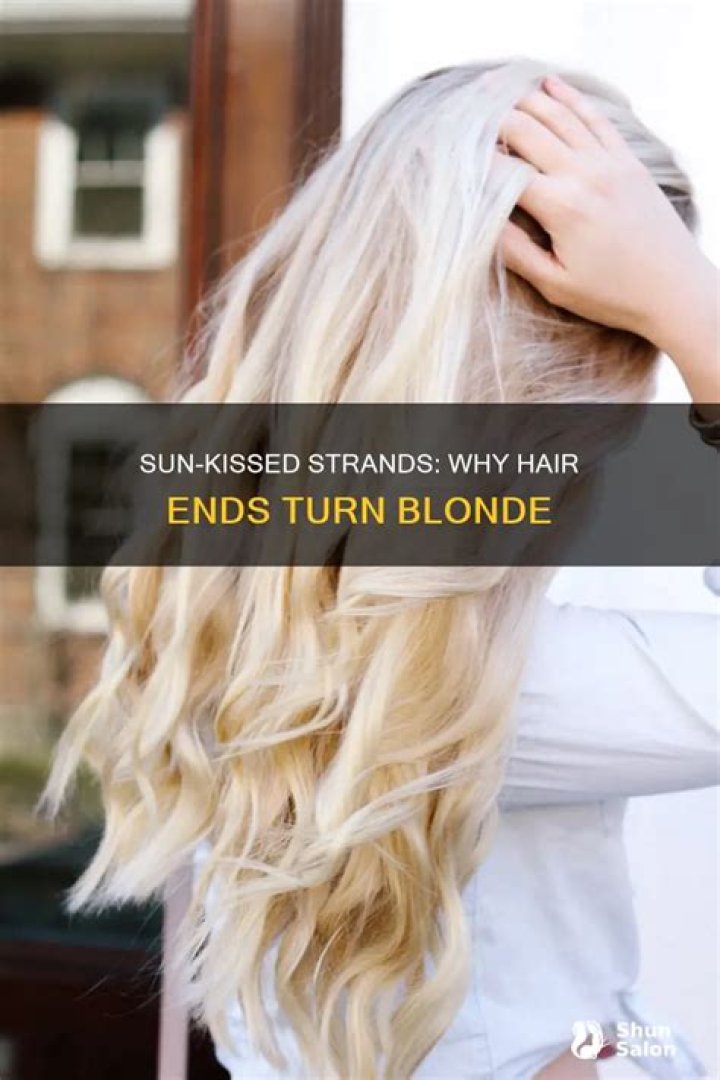 Why do my ends turn blonde?