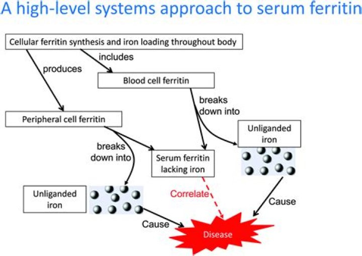 Why is ferritin high in inflammation?
