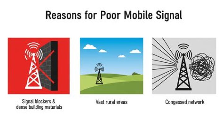Why is Signal so popular?