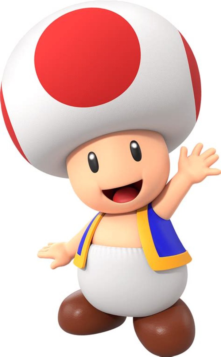 Why is toad called Toad in Mario?