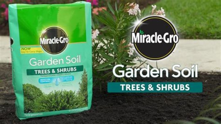 Why you shouldn't use Miracle-Gro soil?