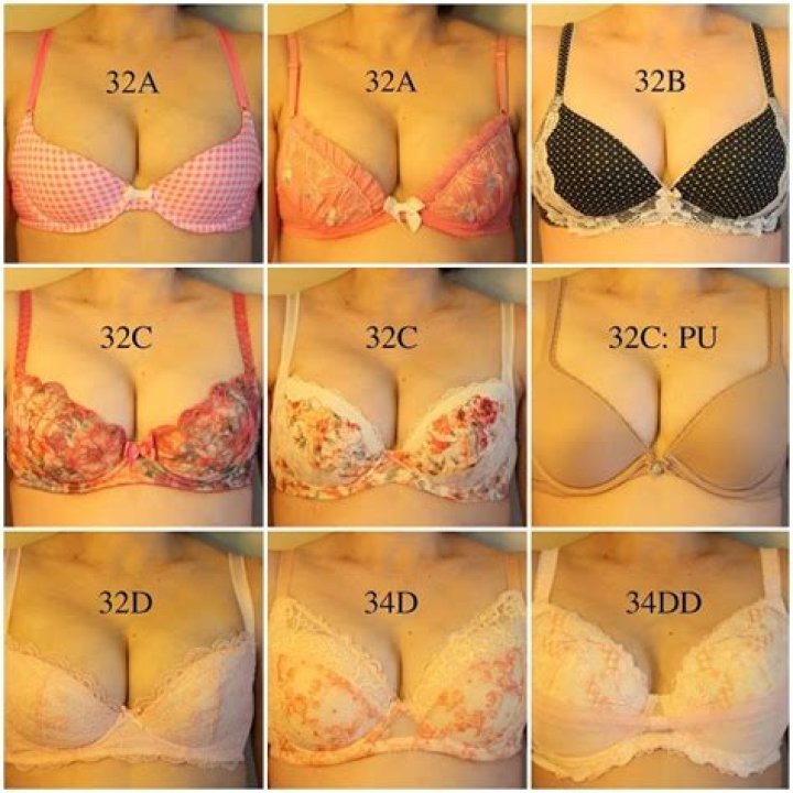 Will a 32C fit a 34B?