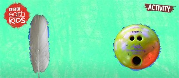 Will a bowling ball and a feather hit the ground at the same time in a vacuum?