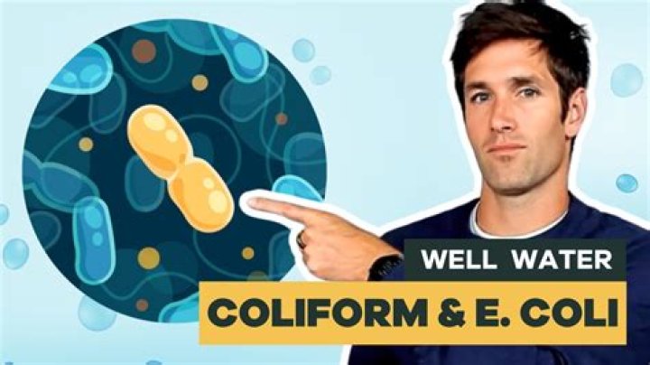 Will shocking a well get rid of coliform?